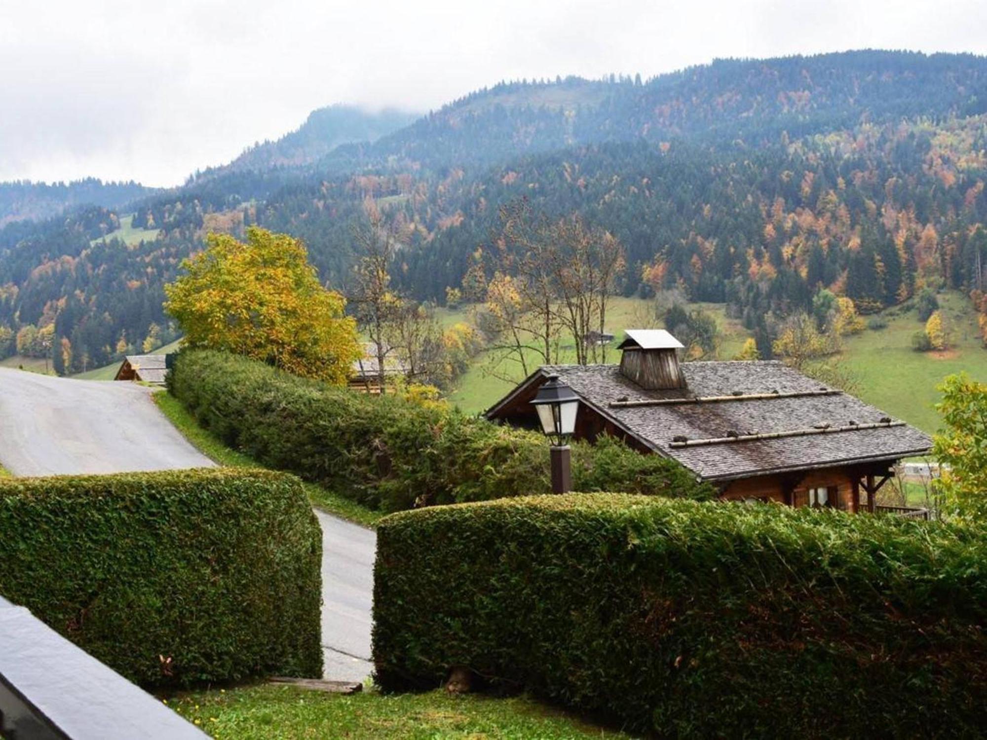 Studio En Rez-De-Jardin Pour 4 Avec Parking Couvert, A 500M De La Telecabine - Le Grand-Bornand - Fr-1-241-80 外观 照片